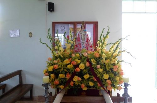 ae39d75cc88830d3c4cdb06155b08ff7